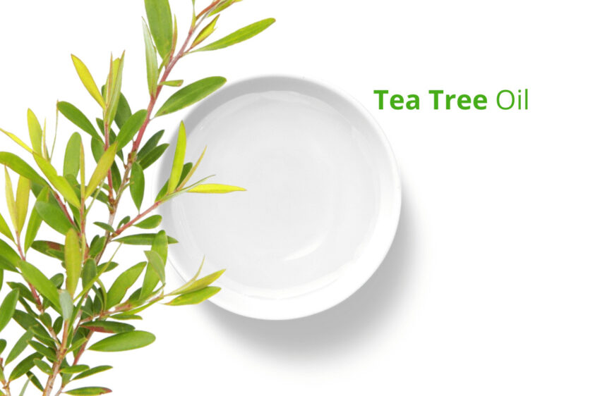 tea tree oil for acne scars